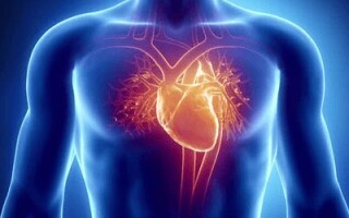 Тахикардия при ВСД: виновато ли сердце?