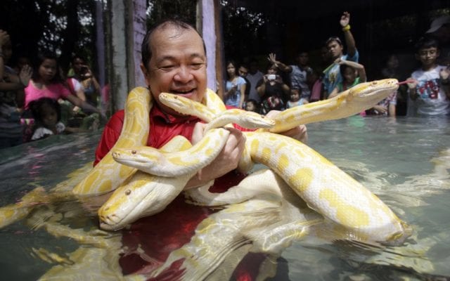 Справиться со страхом змей возможно!