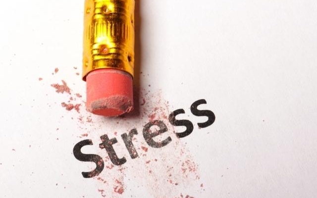 Роль гормона стресса в организме
